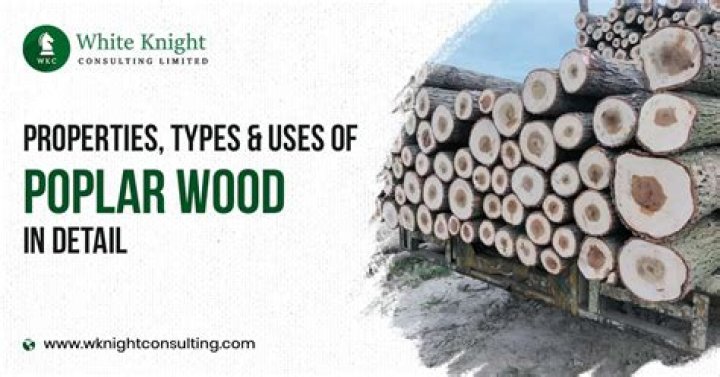 Is tulip wood poplar?