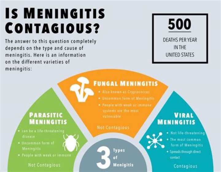 Is viral meningitis contagious?