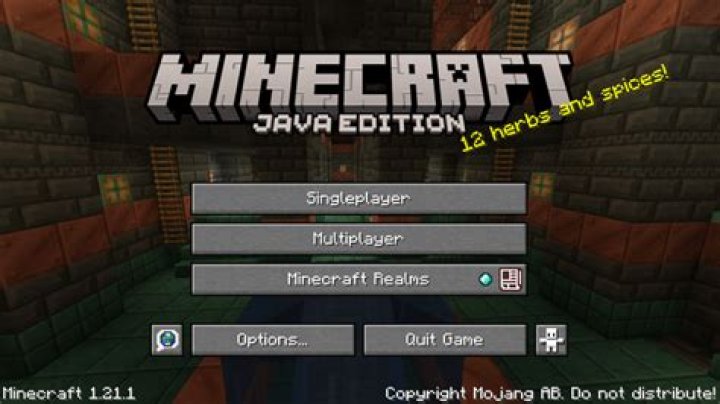 Minecraft update from 1.16.4 to 1.17 java error occurs