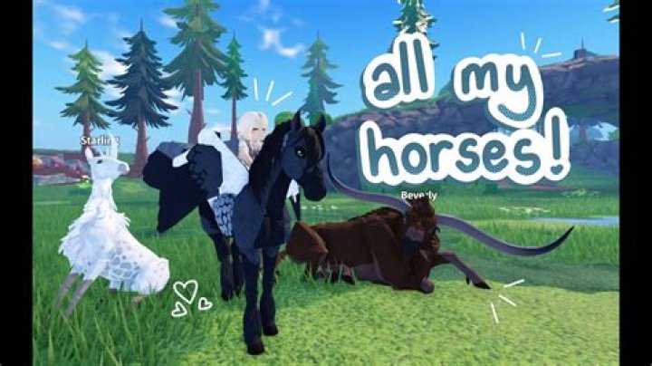 My horse can't be leashed