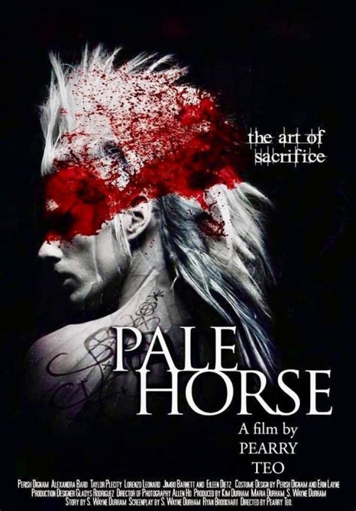 On a pale horse synopsis?
