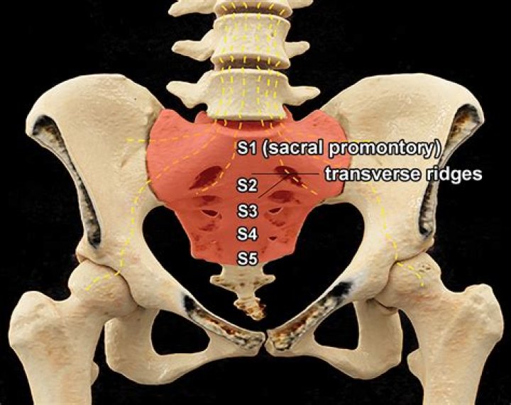 On sacrum icd 10?