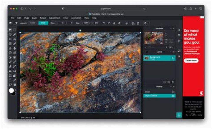 PhotoShop alternative for Ubuntu [duplicate]