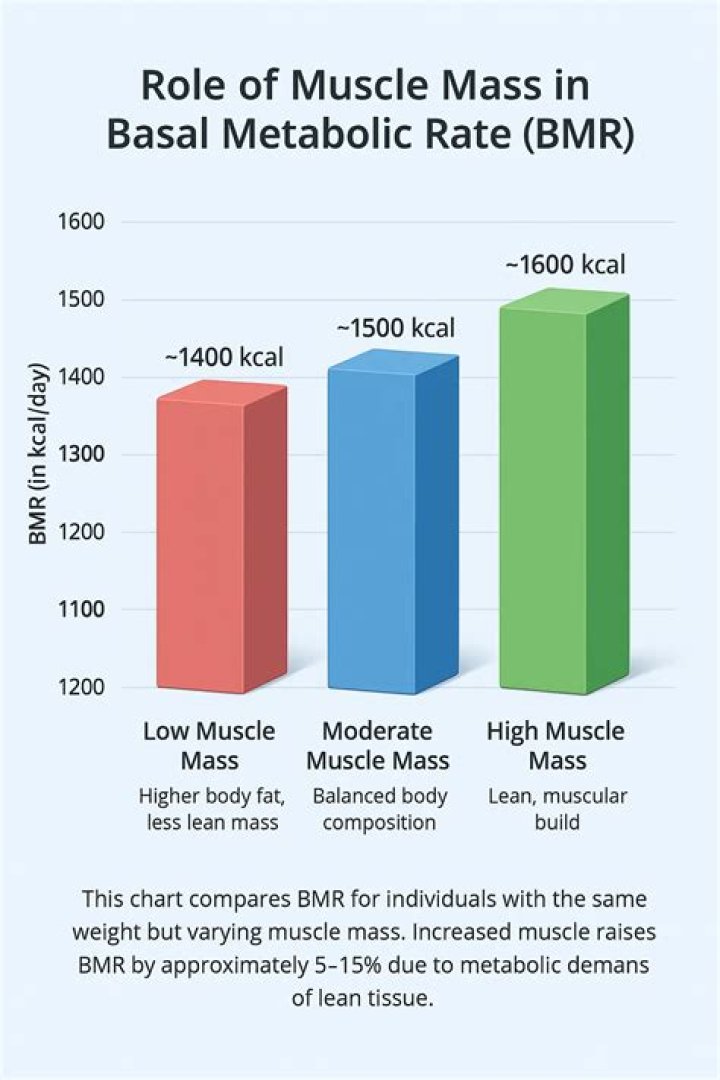 Should basal metabolic rate be high?