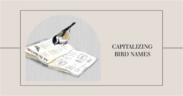 Should bird names be capitalized?