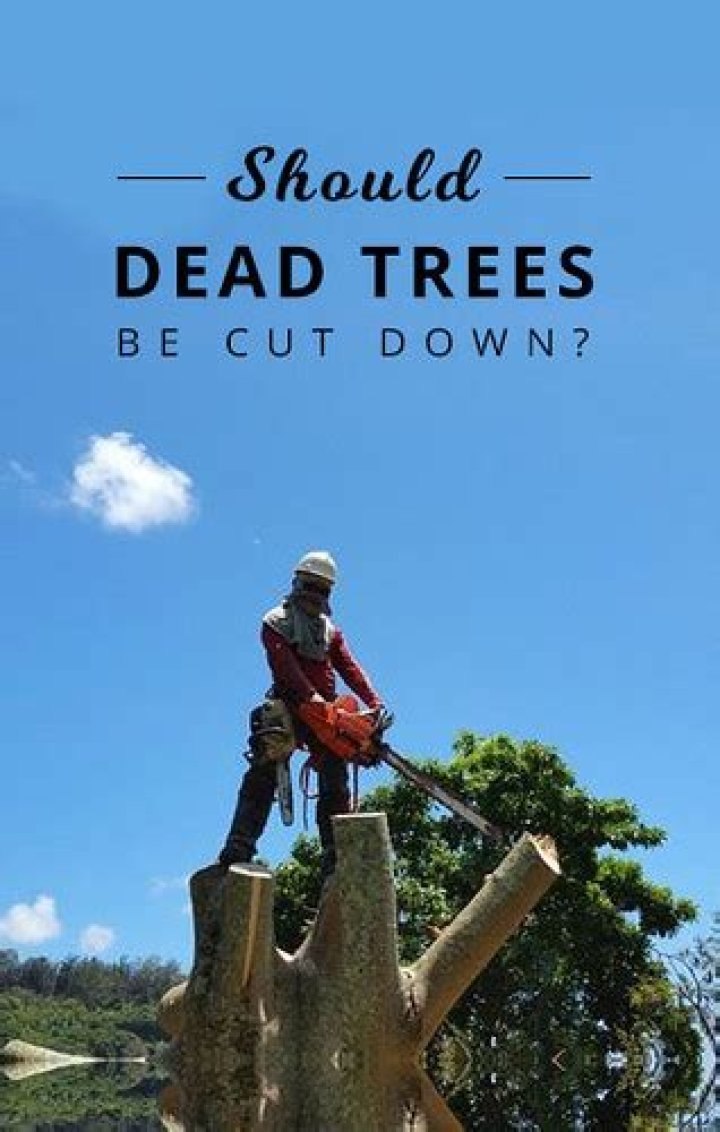 Should dead trees be cut down?