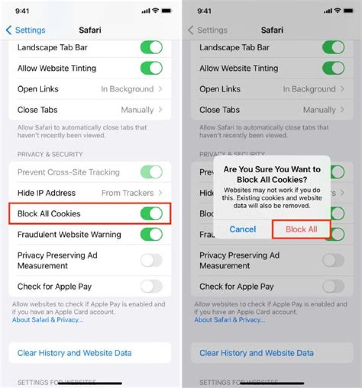 Should i delete cookies on my ipad?