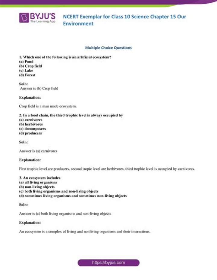 Should i do ncert exemplar?