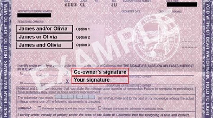 Should i have a cosigner?