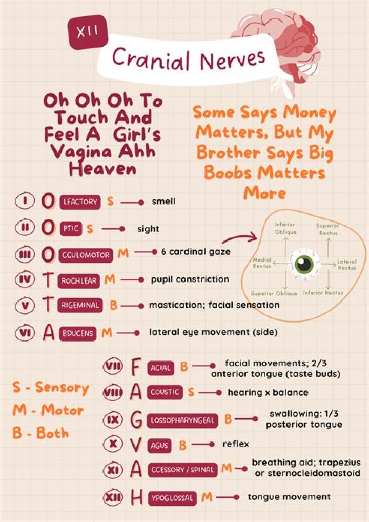 Should i learn mnemonic?
