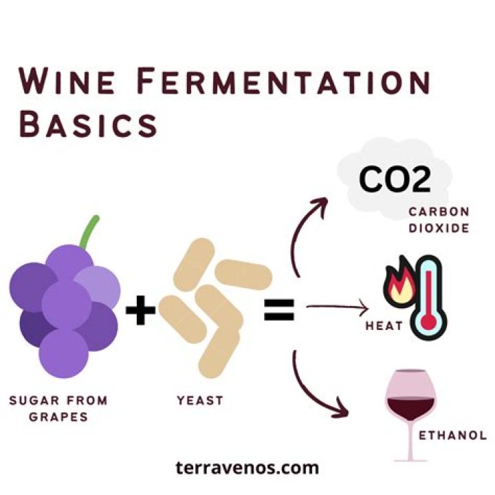 Should i stir my wine during fermentation?