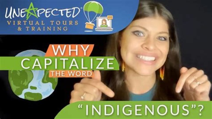 Should indigenous be capitalised?