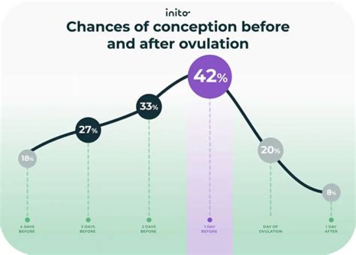 Should intercourse be stopped after ovulation?