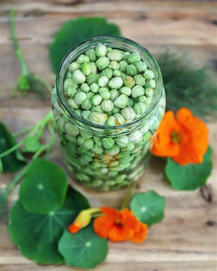 Should nasturtium seeds be soaked?
