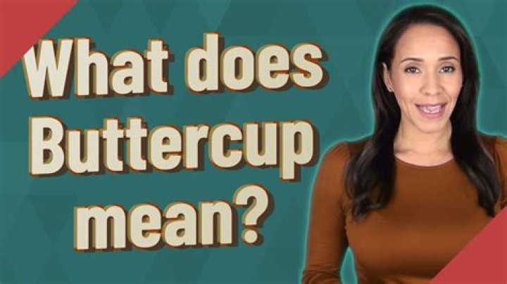 Was does buttercup mean?