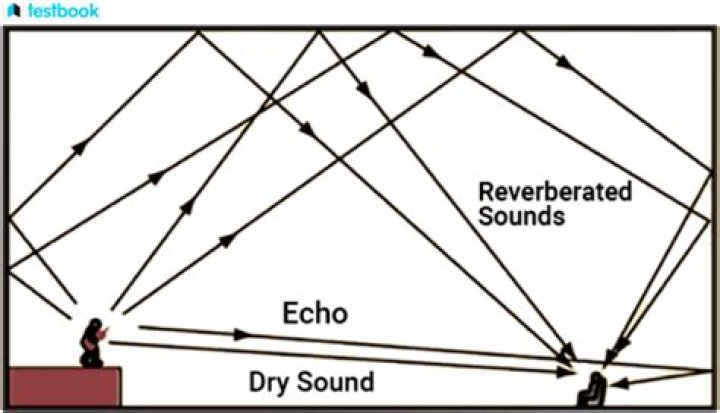 Was does reverberate mean?