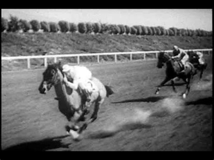 Was stewball a real horse?