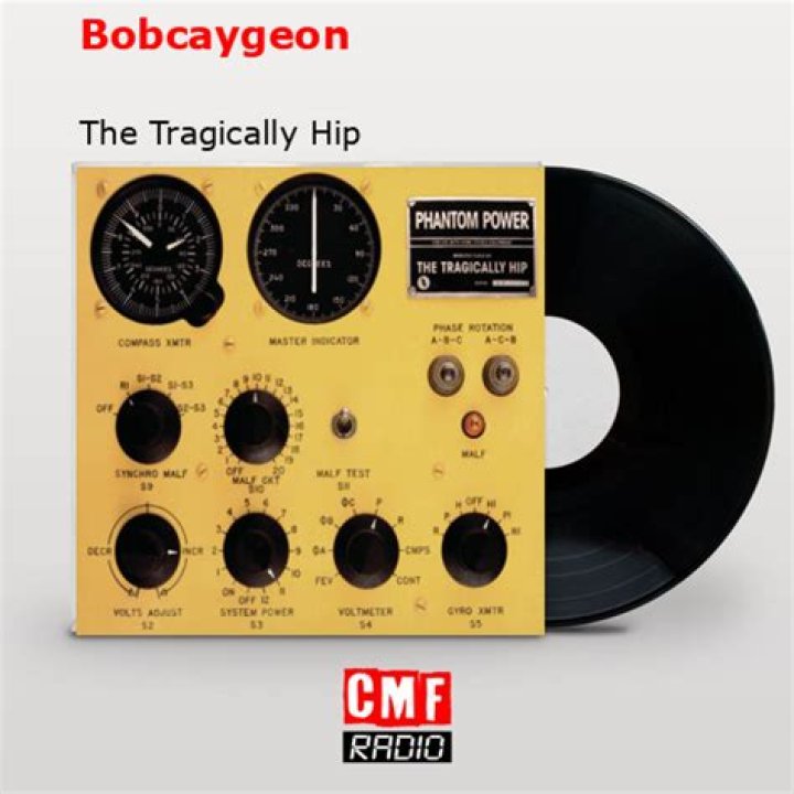 Was tragically hip on corner gas?