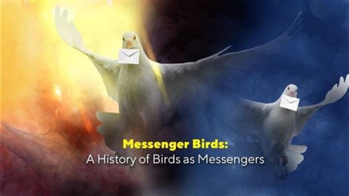 Were doves used to send messages?