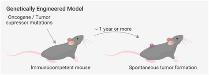 Were love bugs genetically engineered?