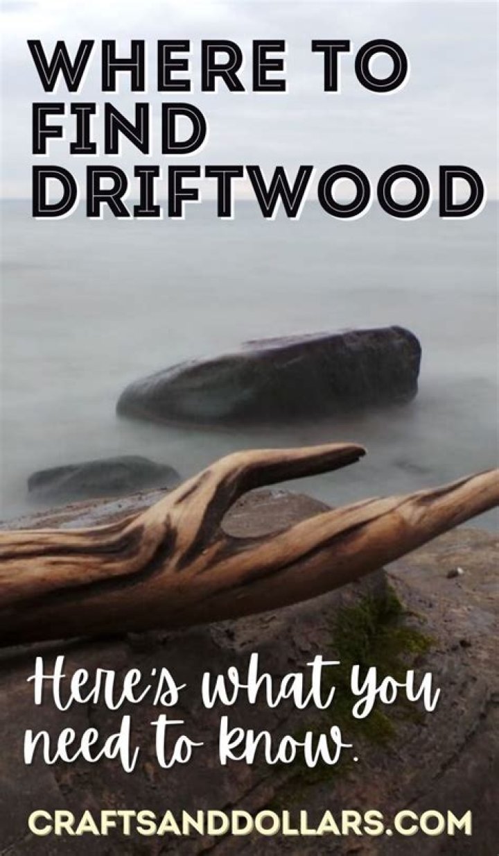 Were to find driftwood?