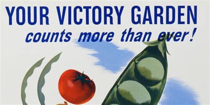 Were victory gardens successful?