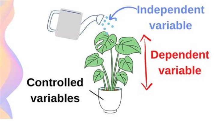 What's variable about a world made from a world seed?