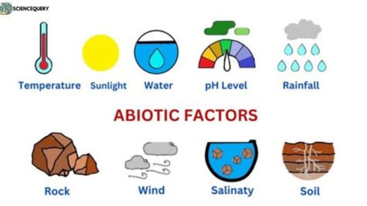 What abiotic factors affect aquatic ecosystems?