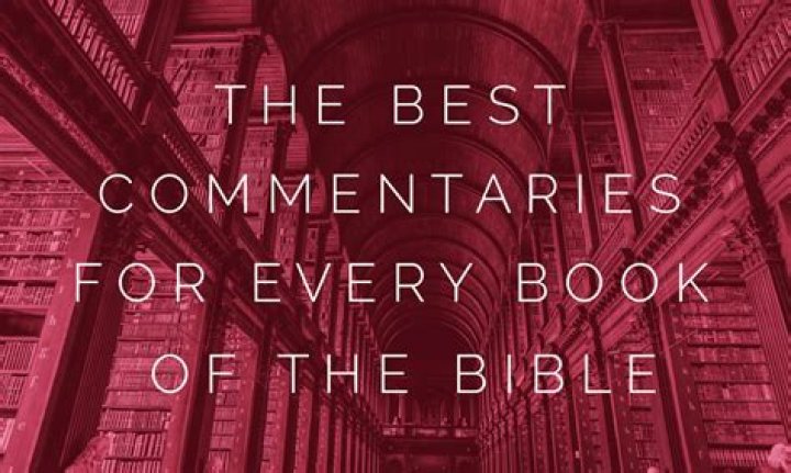 What are biblical commentaries?