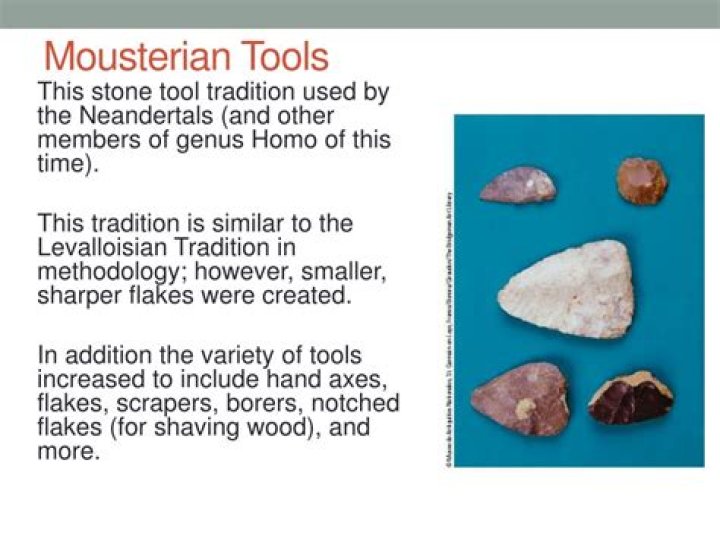 What are mousterian tools?