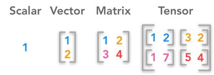 What are the Differences Between a Matrix and a Tensor?