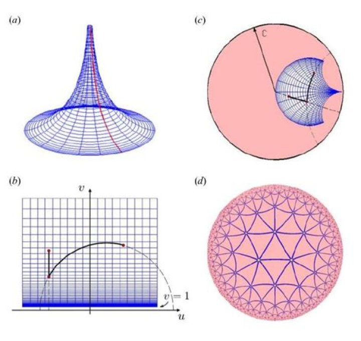 What are the interesting applications of hyperbolic geometry?