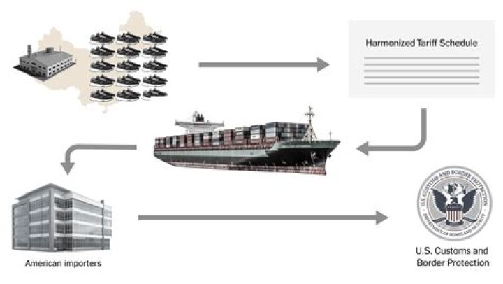 What are the reasons behind transshipments?