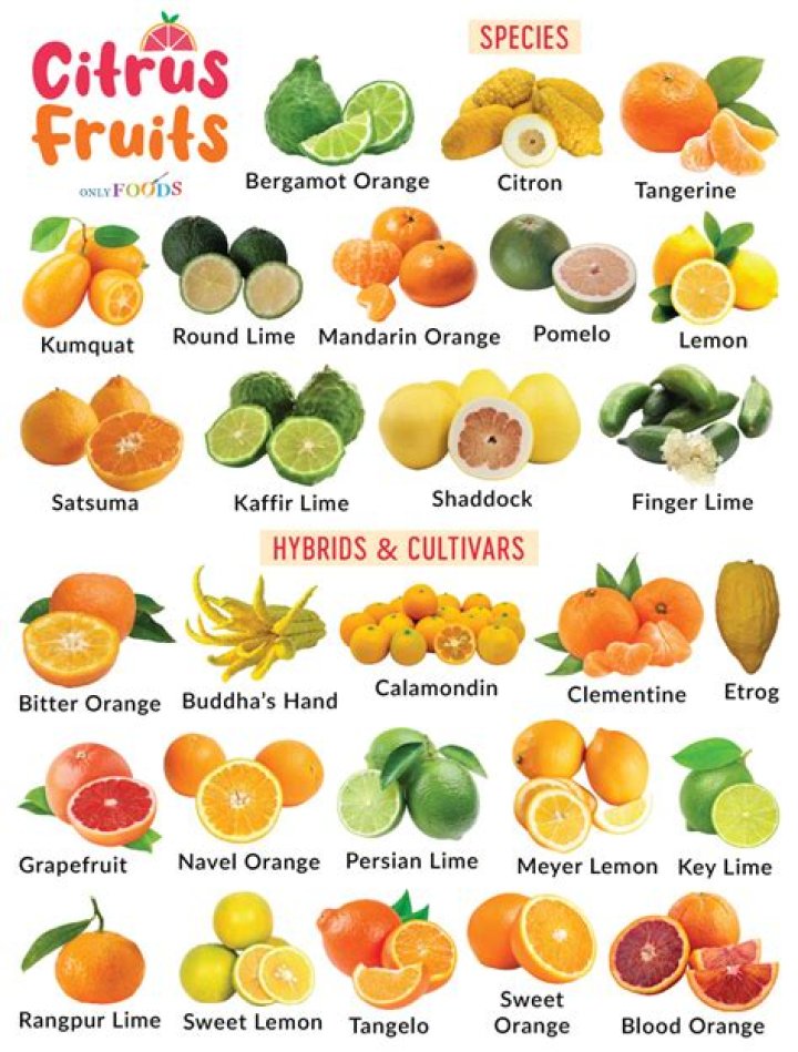 What are the types of fruits?