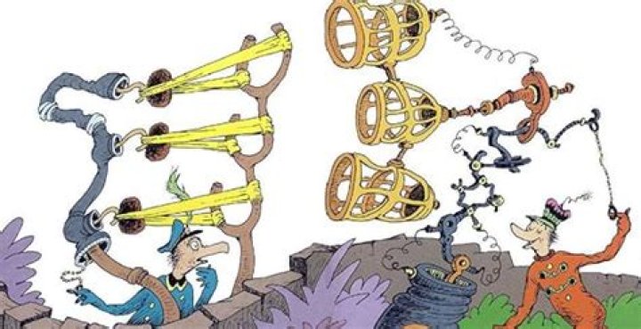 What are the yooks and zooks engaged in?