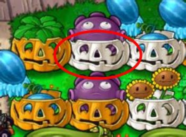 What are these silvery pumpkins?
