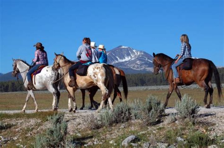 What did the paiutes eat?