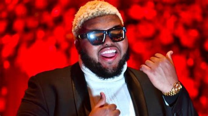 What do you mean by amitosis?