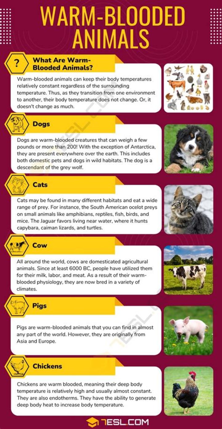 What do you mean by sheathes?