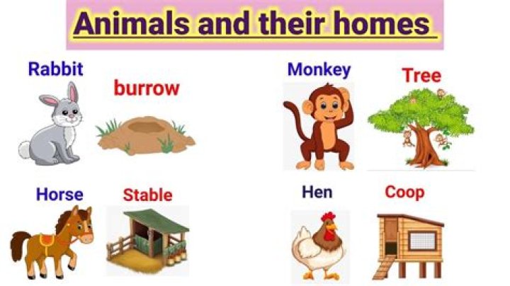 What do you need to build to house animals and monsters?