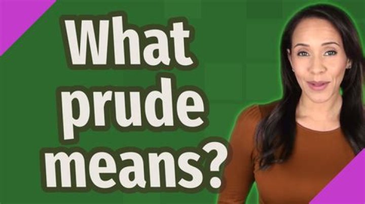 What does a prude mean?