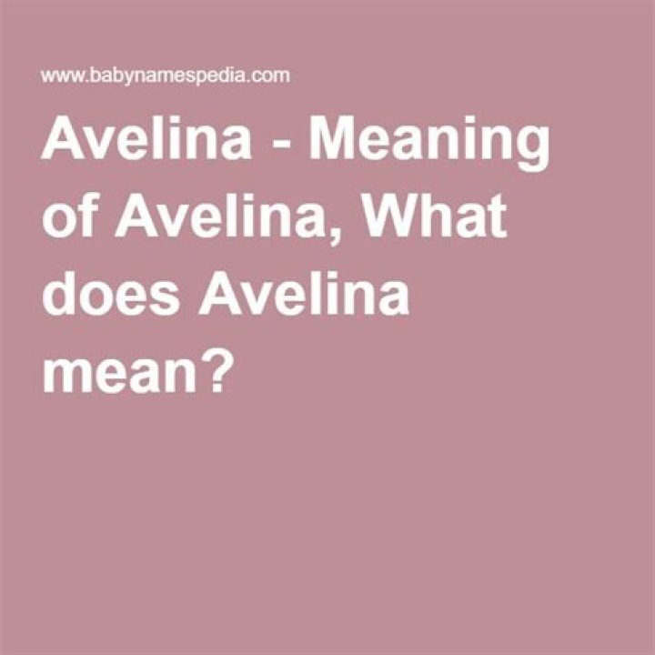 What does avelina mean?