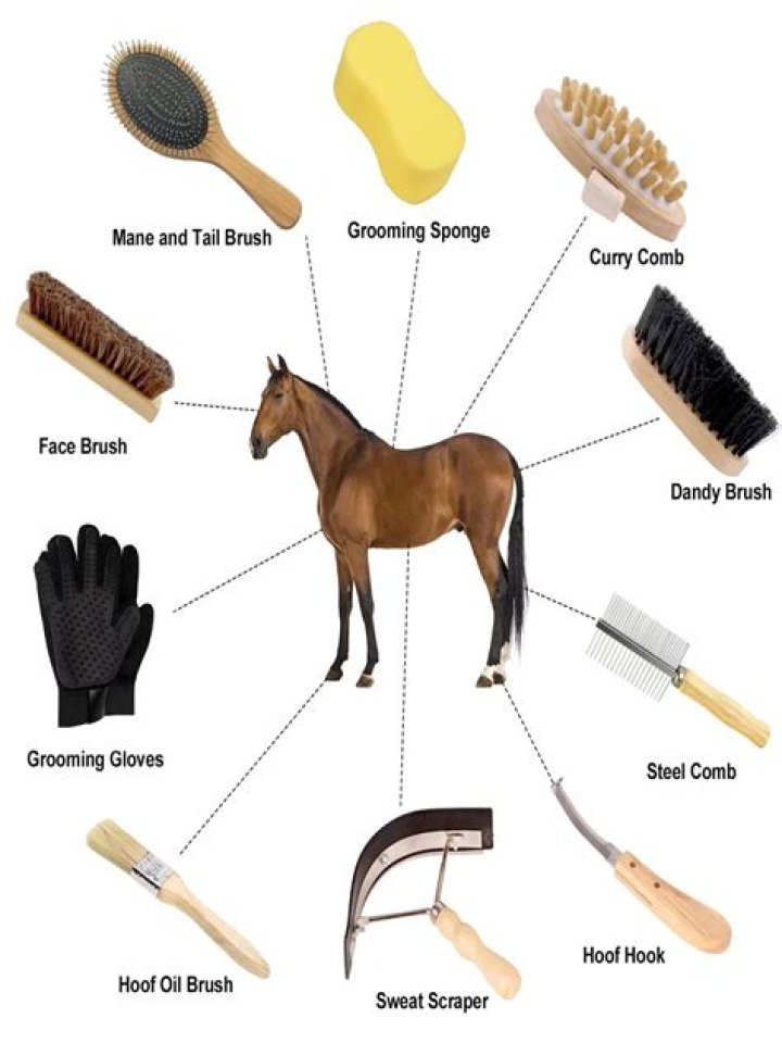 What does Horse equipment do?