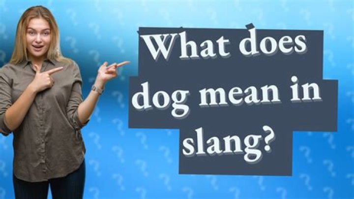What does nefs mean in slang?