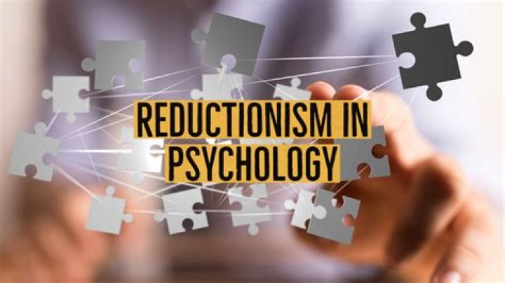 What does non reductionism mean?