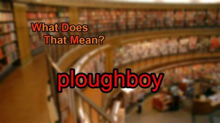 What does ploughboy mean?