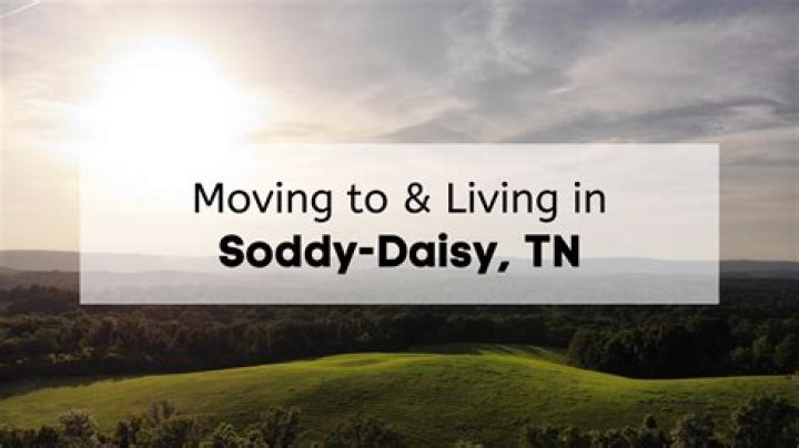 What does soddy daisy mean?