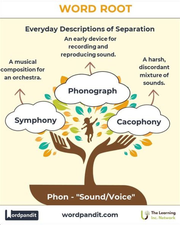 What does the root word necrology mean?