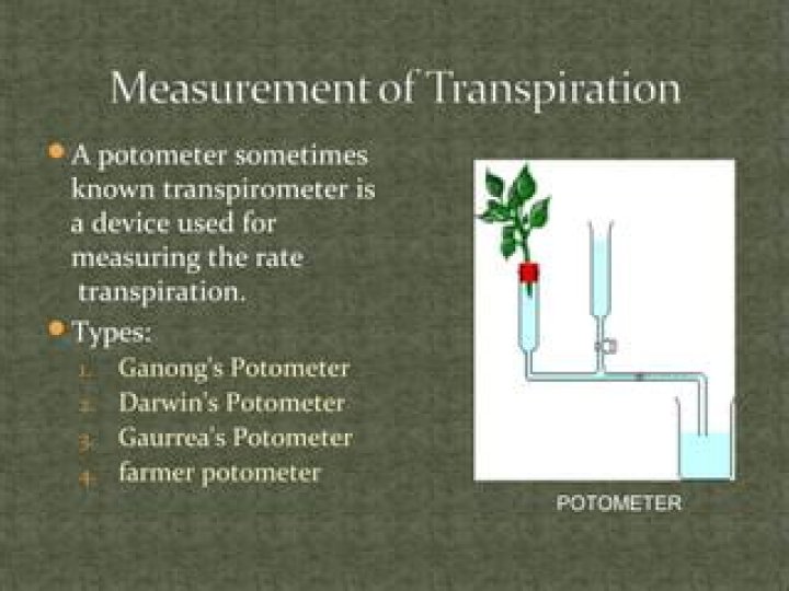 What does transpirometer mean?