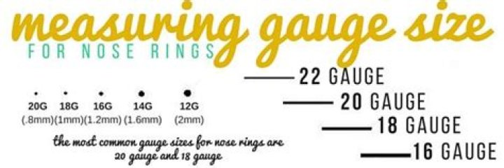 What gauge nose ring?
